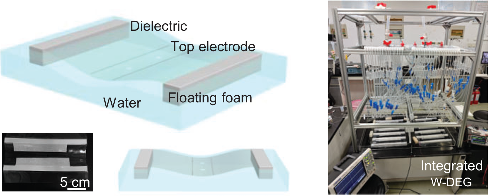 Output performance of the integrated W-DEG. Schematics and digital photo of a W-DEG unit device.