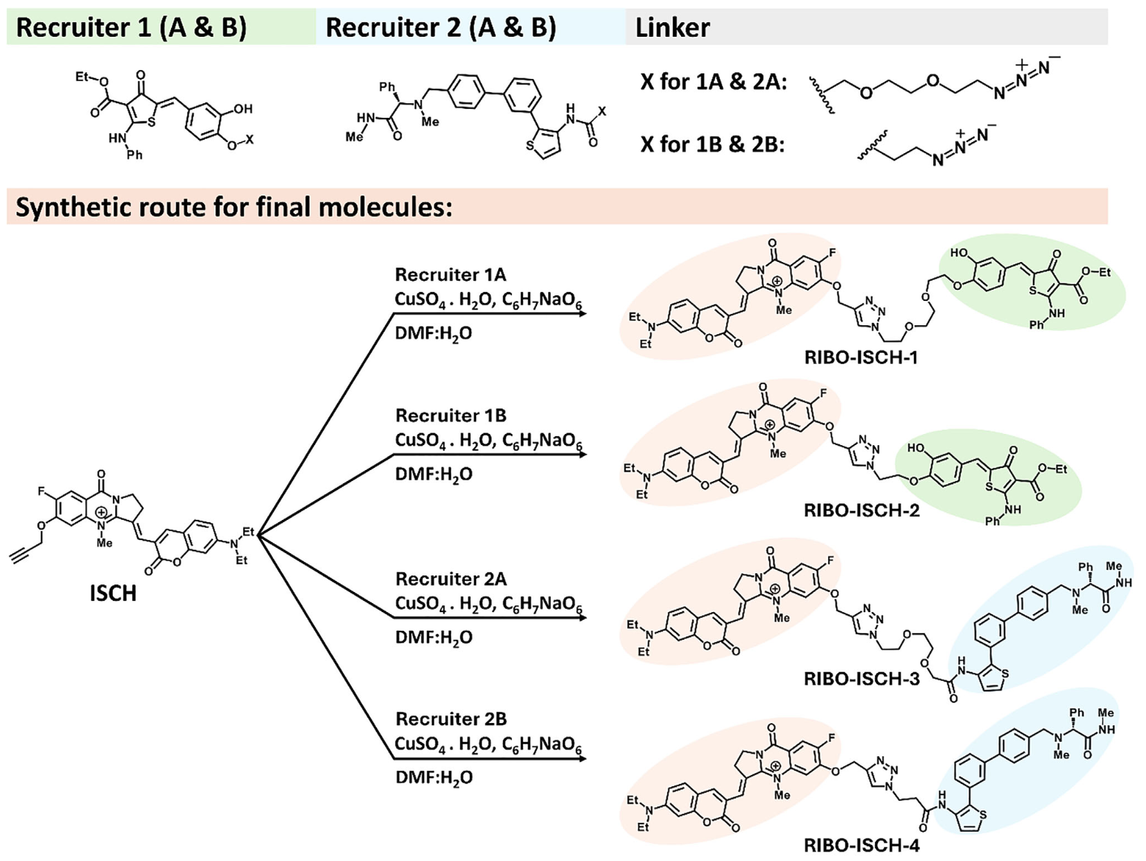 Synthetic routes for RIBOTAC degrader molecules.