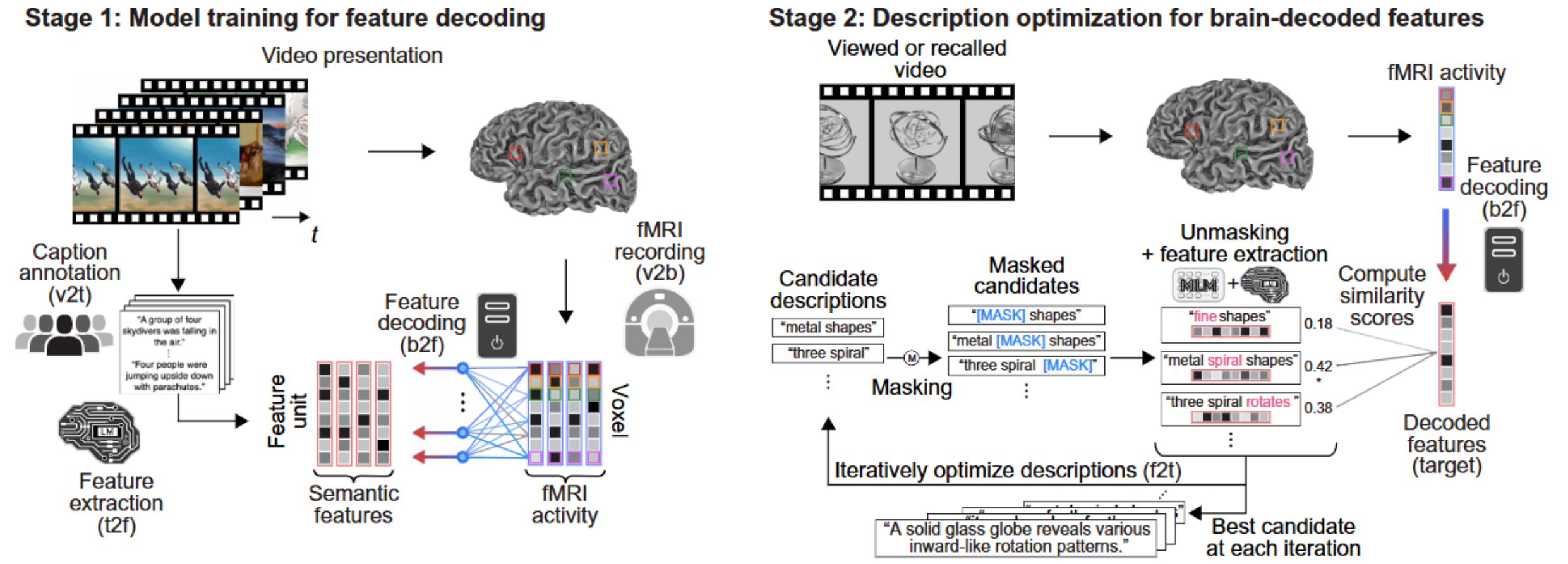 Mind captioning. Method consists of two stages. (Stage 1) We first trained linear decoding models to decode whole-brain fMRi activity, measured while each subject viewed videos, into semantic features from the captions of the videos using an lM (frozen). (Stage 2) We then used those models to decode brain activity induced by novel video stimuli or by recall-based mental imagery of those videos and optimized candidate descriptions iteratively by aligning their features with brain-decoded features through word replacement and interpolation, leveraging another lM pretrained for masked language modeling (MlM; frozen).