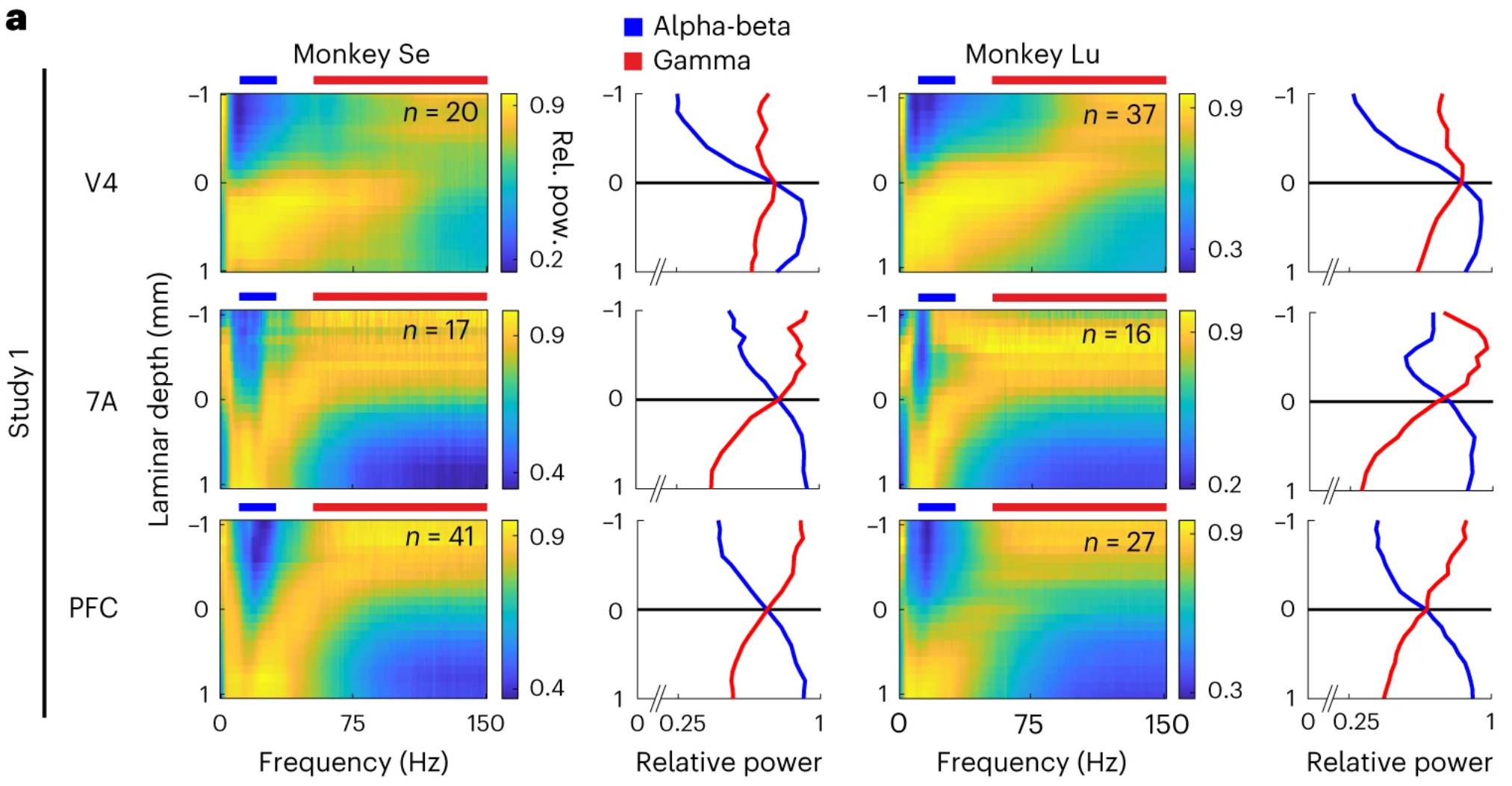 The spectrolaminar pattern is ubiquitous across areas, monkeys and studies.