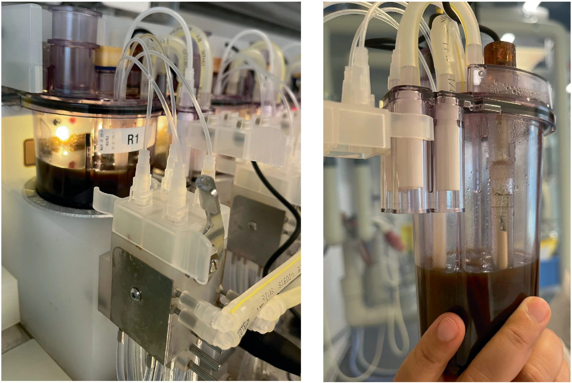 Fermentation was performed in a 250 mL Ambr microbioreactor. The final culture broth was colored deep burgundy.