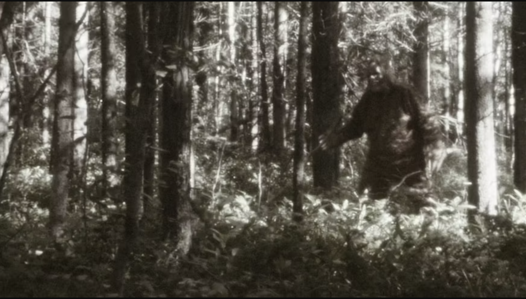 Bigfoot in the woods.  