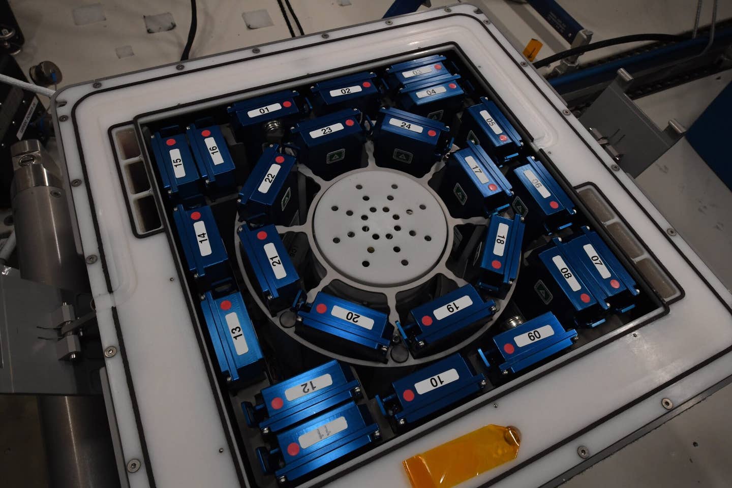 The second Molecular Muscle Experiment, MME-2, was launched to space from Cape Canaveral, USA, on 3 June 2021 with thousands of tiny C. elegans worms to live on board the International Space Station.