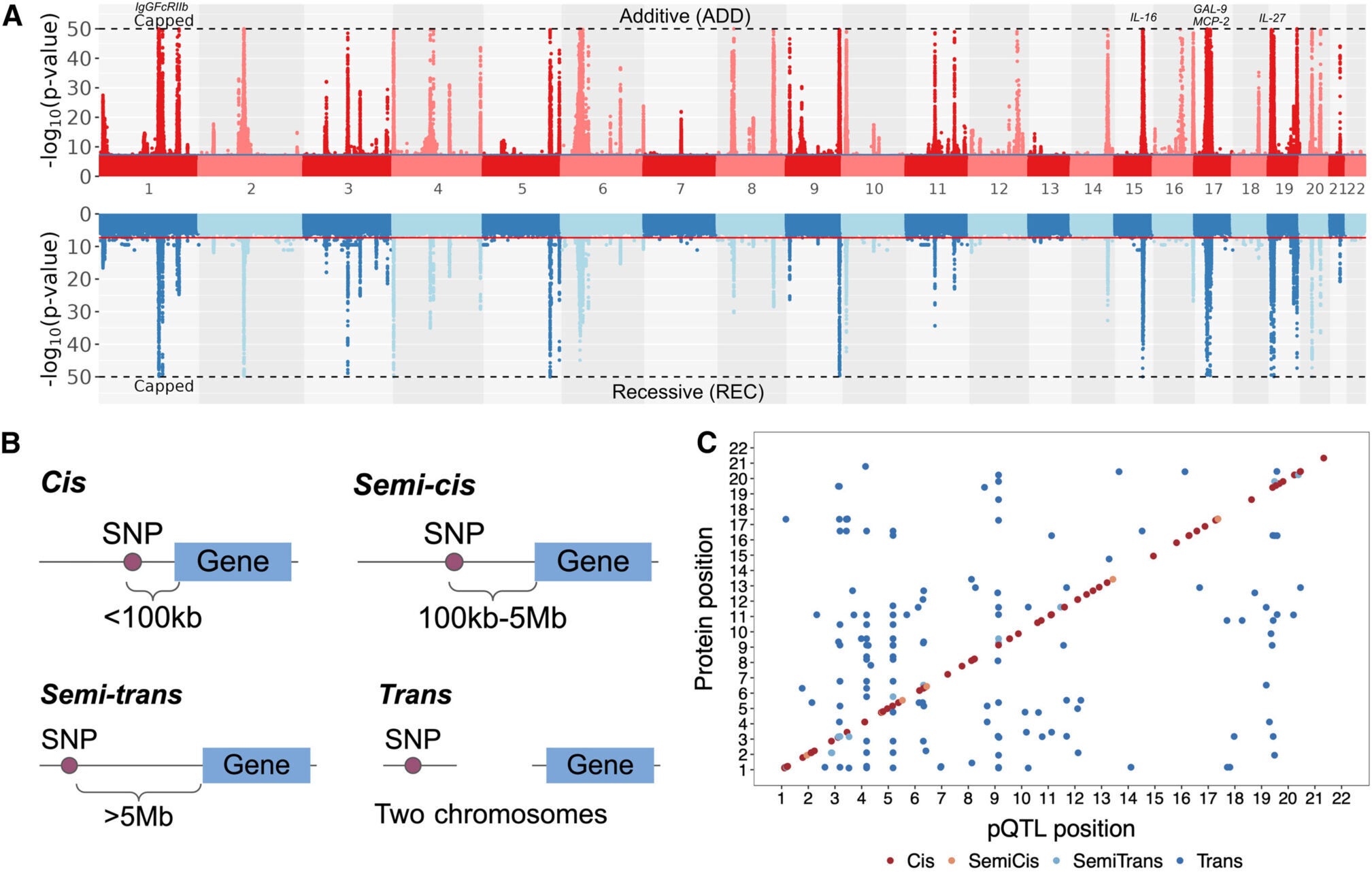 Genetic architecture of the targeted plasma proteome in the Greenlandic population