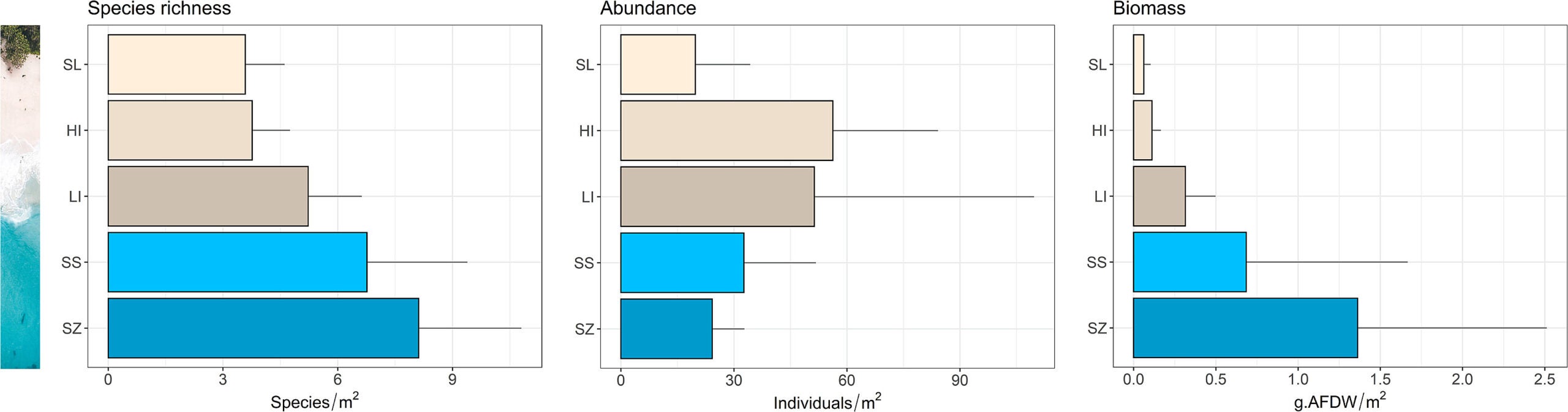 Mean (± SE) number of species (Species/m2), abundance (Inds/m2) and biomass (g.AFDW/m2; AFDW – Ash Free Dry Weight) of sandy beach assemblages found at each sandy beach zone.