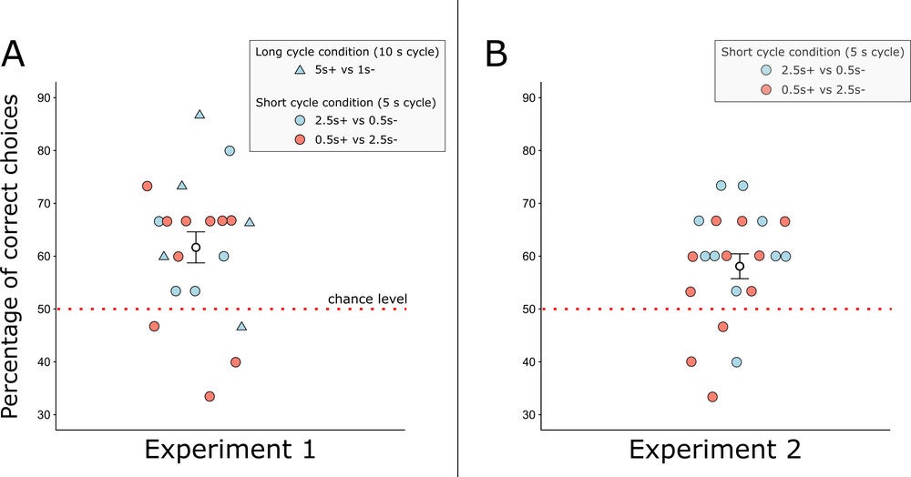 The performance of bees over 15 test trials in both experiments, where a correct choice was the choice of the stimulus that had been rewarded in training trials. Each point represents an individual bee.