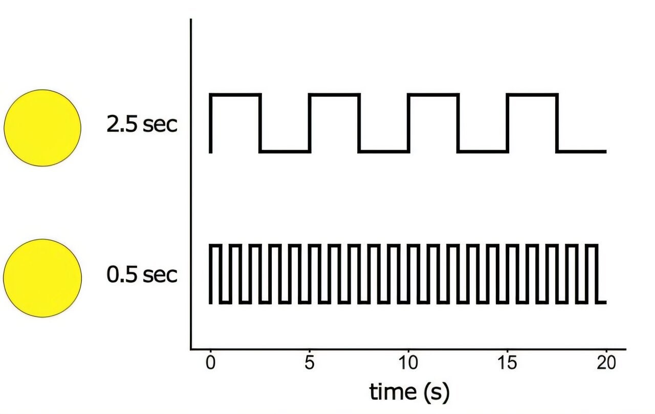 Stimuli. The stimuli are yellow circles, as shown on the left of the picture, that flash on and off for different durations. A schematic of the on (peaks) and off (troughs) states for both stimuli are shown.