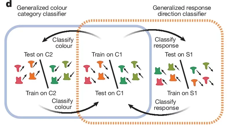 Schematic of the classifiers used to test whether colour category and response location information were shared across tasks