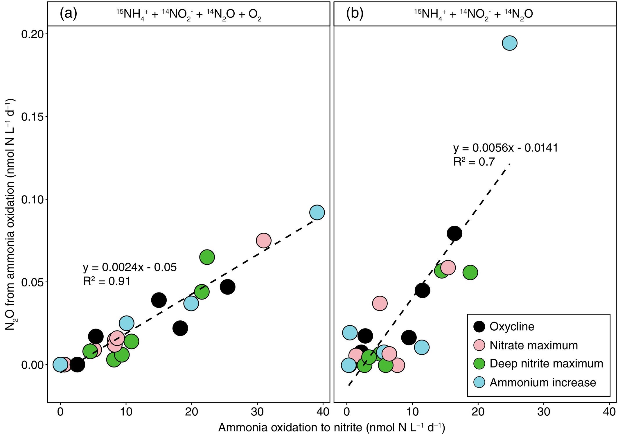 Nitrous oxide formation as a factor of the ammonia oxidation rates to nitrite.