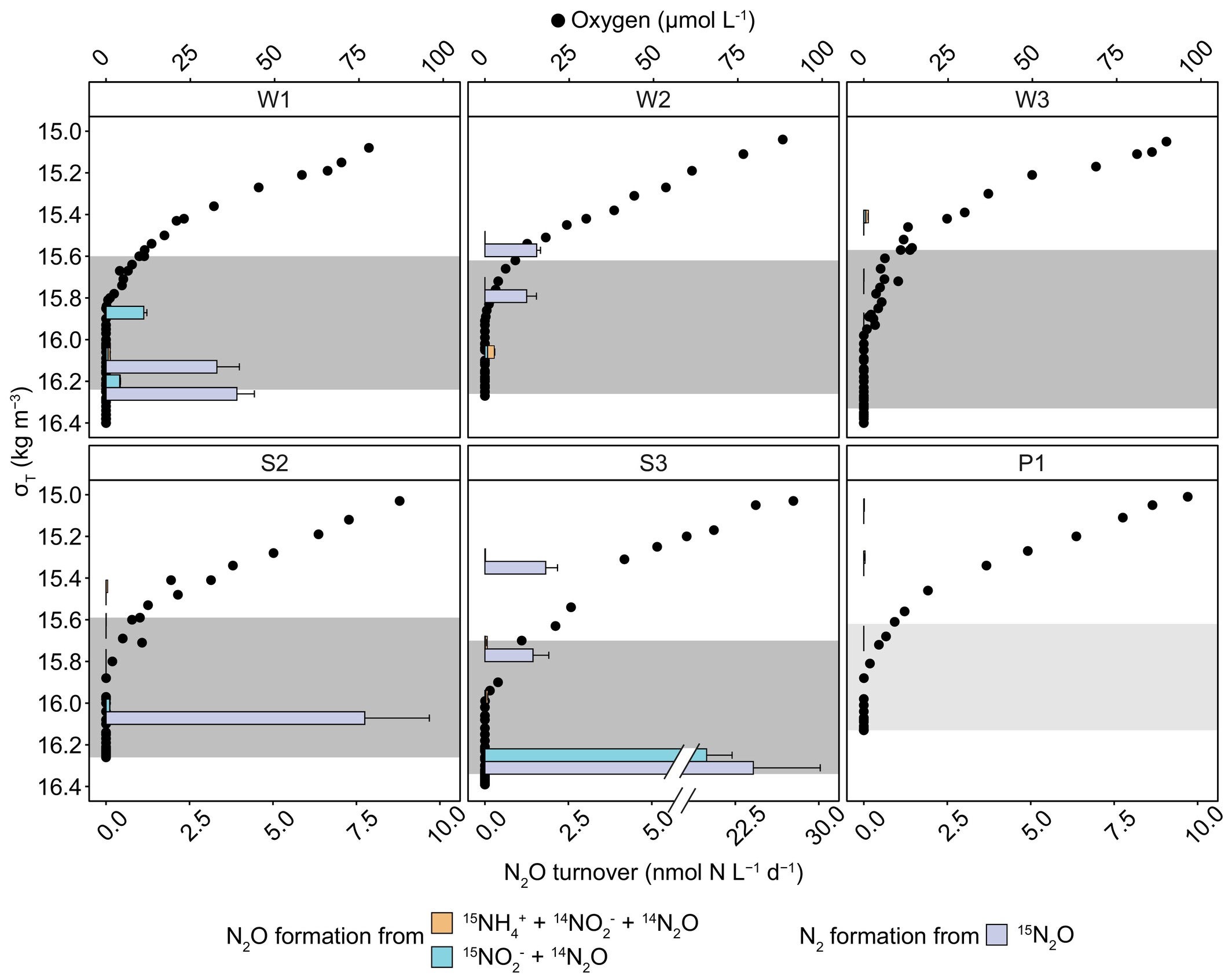 Nitrous oxide (N2O) turnover in the suboxic zone of the western Black Sea.