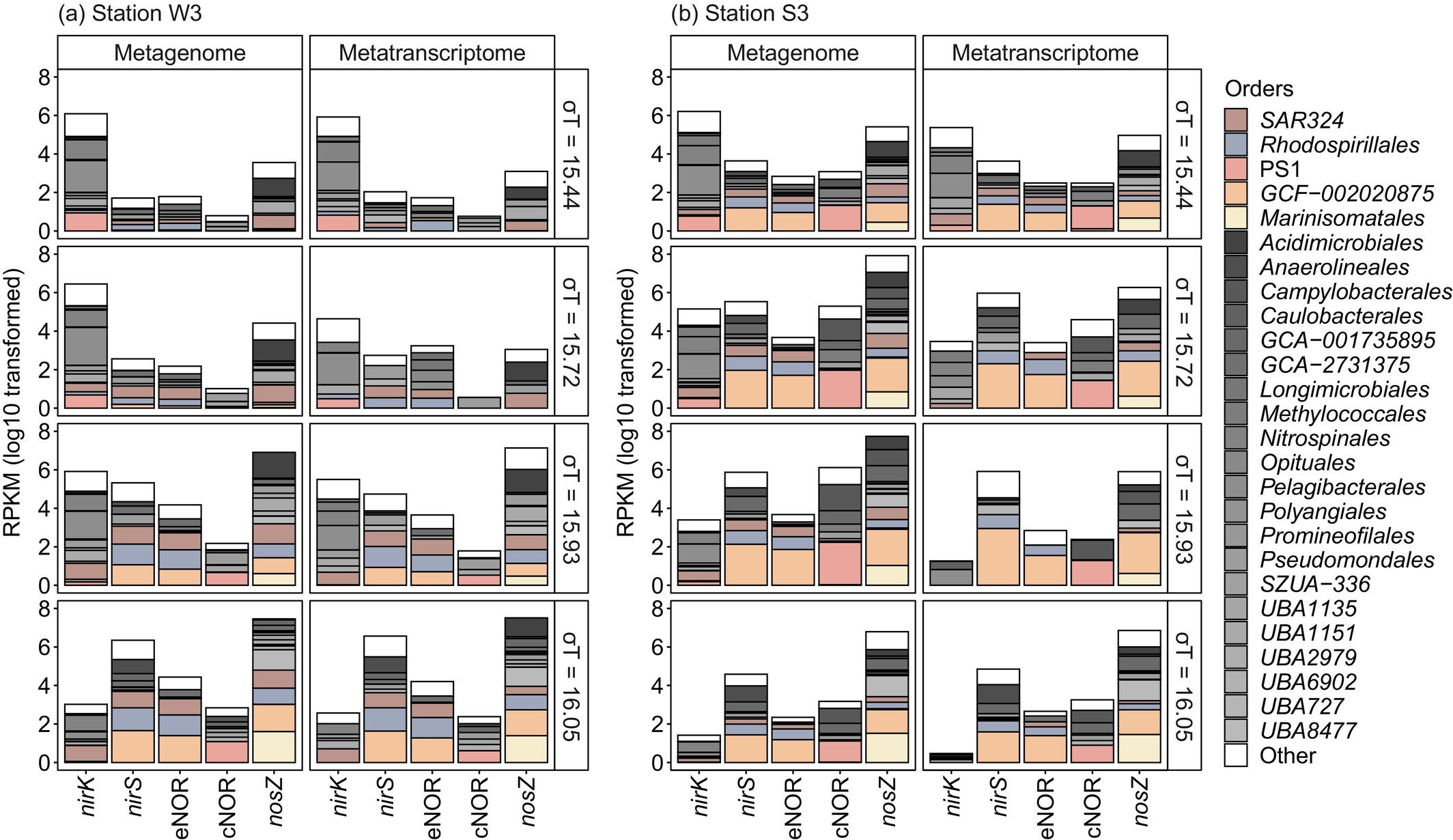 Taxonomic diversity of denitrifying organisms and most prevalent key genes.