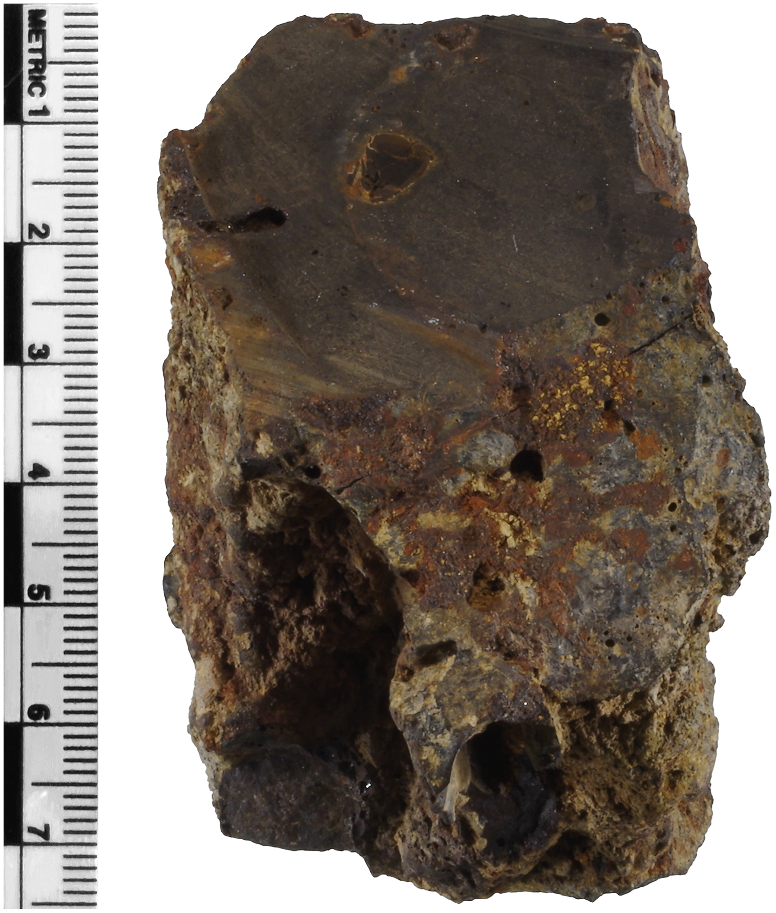 Previously sectioned surface of slag H76-S39 showing an entrapped charcoal inclusion embedded within a second layer.