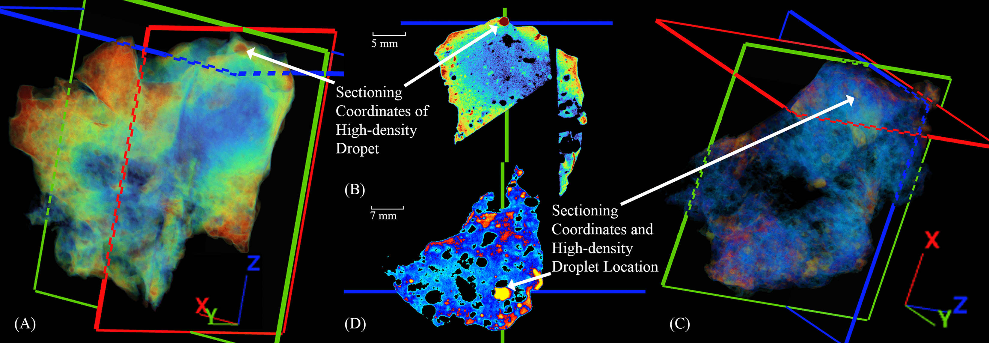 Two-dimensional and 3D images of slags -S37A [(A), (B)] and H76-S45B [(C), (D)], respectively, showing the slice planes in software before sectioning.