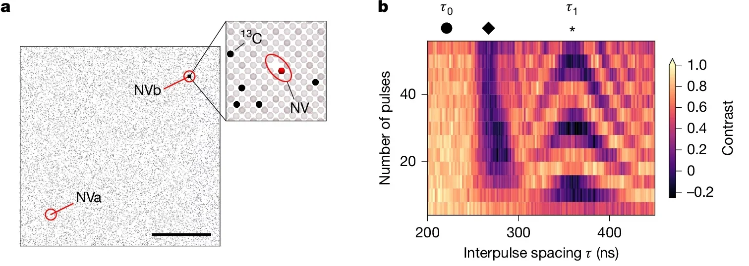 Detecting correlations between optically and spectrally unresolved co-aligned NV centres using a local nuclear spin.