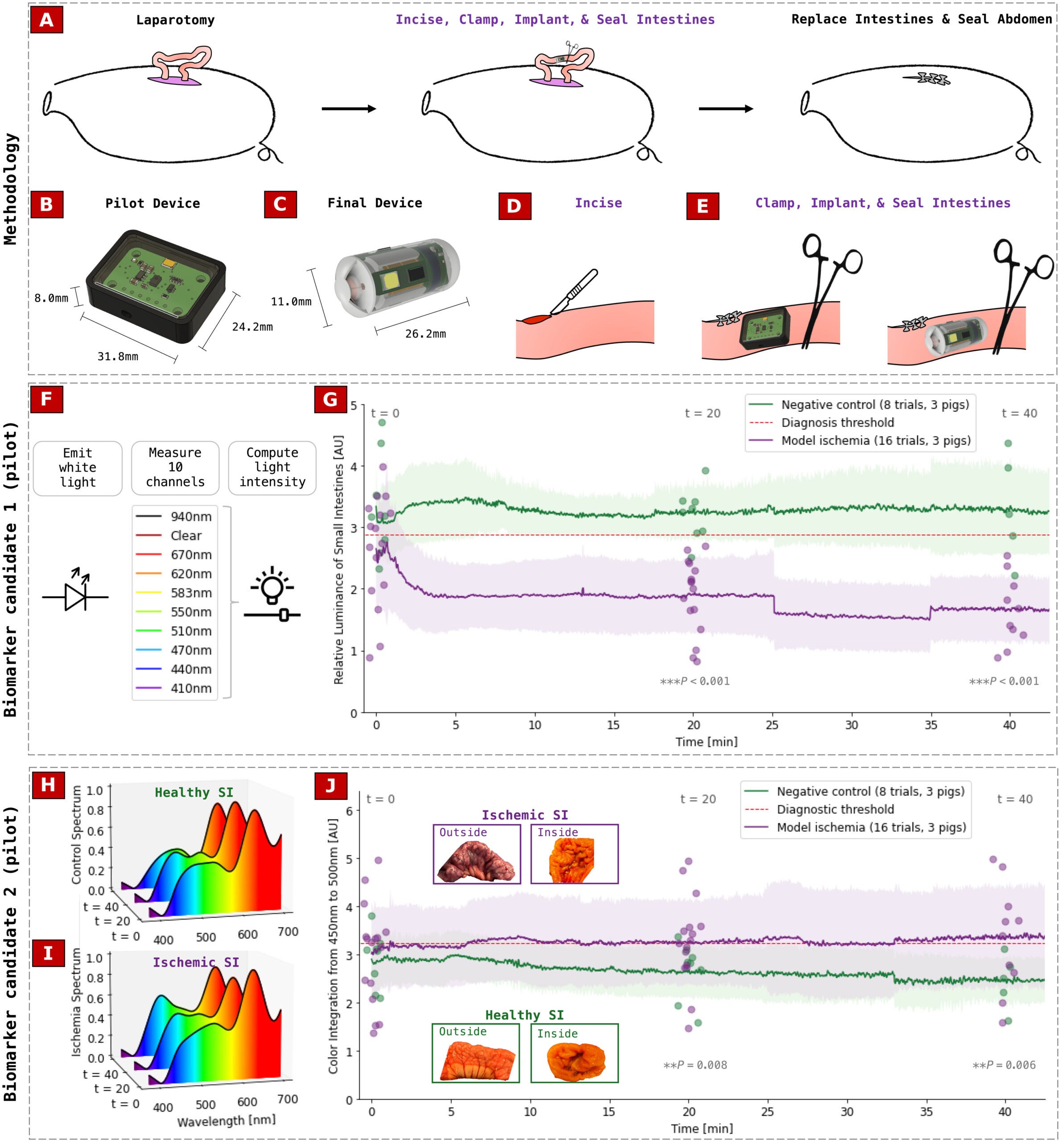 In vivo swine study results with pilot device to determine biomarker for mesenteric ischemia.