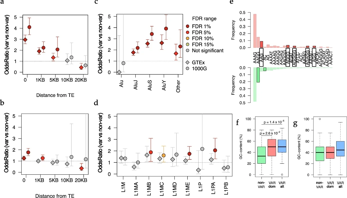 Characteristics of STRs near mobile elements.