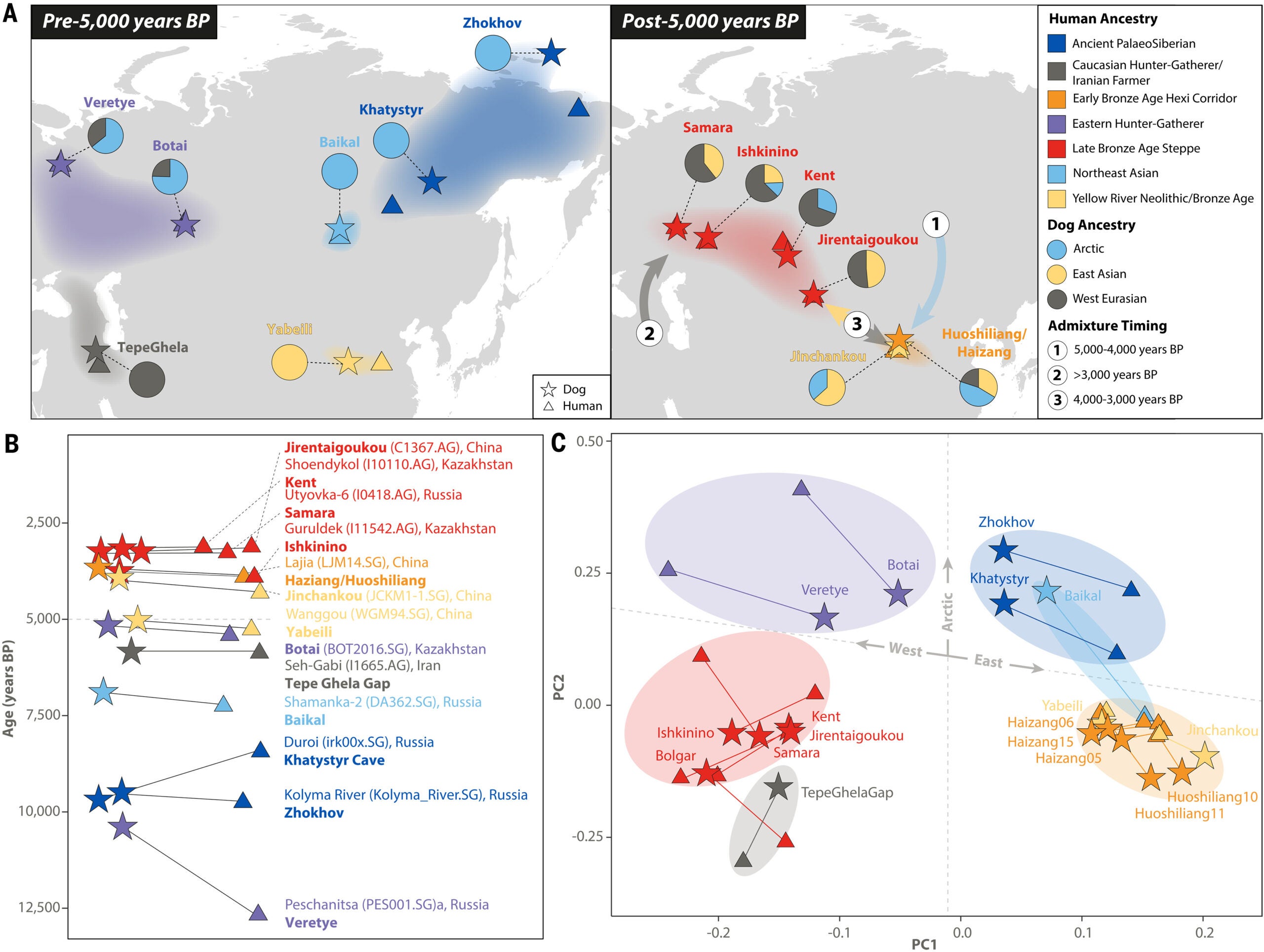 Correspondence between human and dog ancestry in Eastern Eurasia.