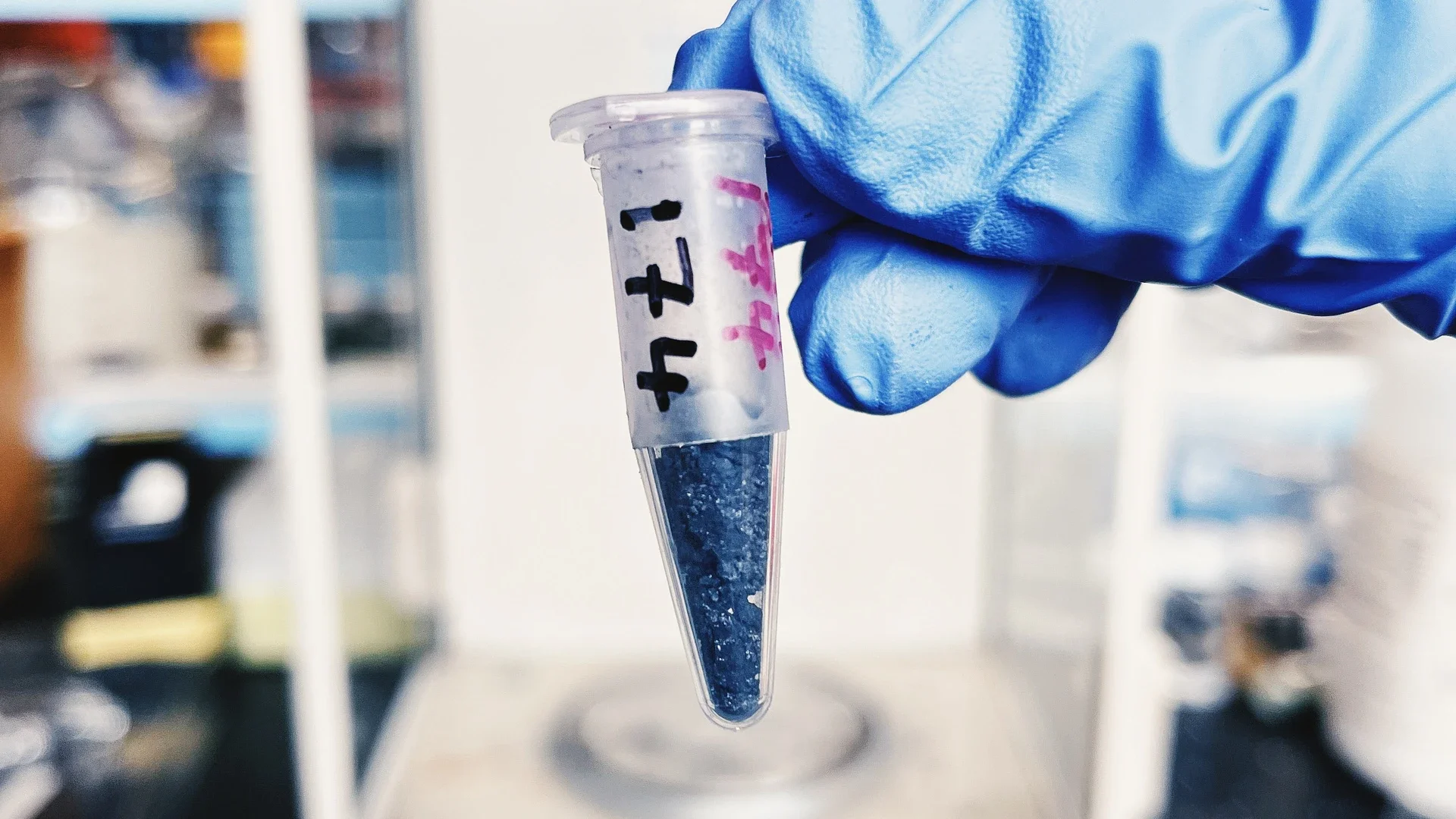 A carbon-rich sample from early Earth. 