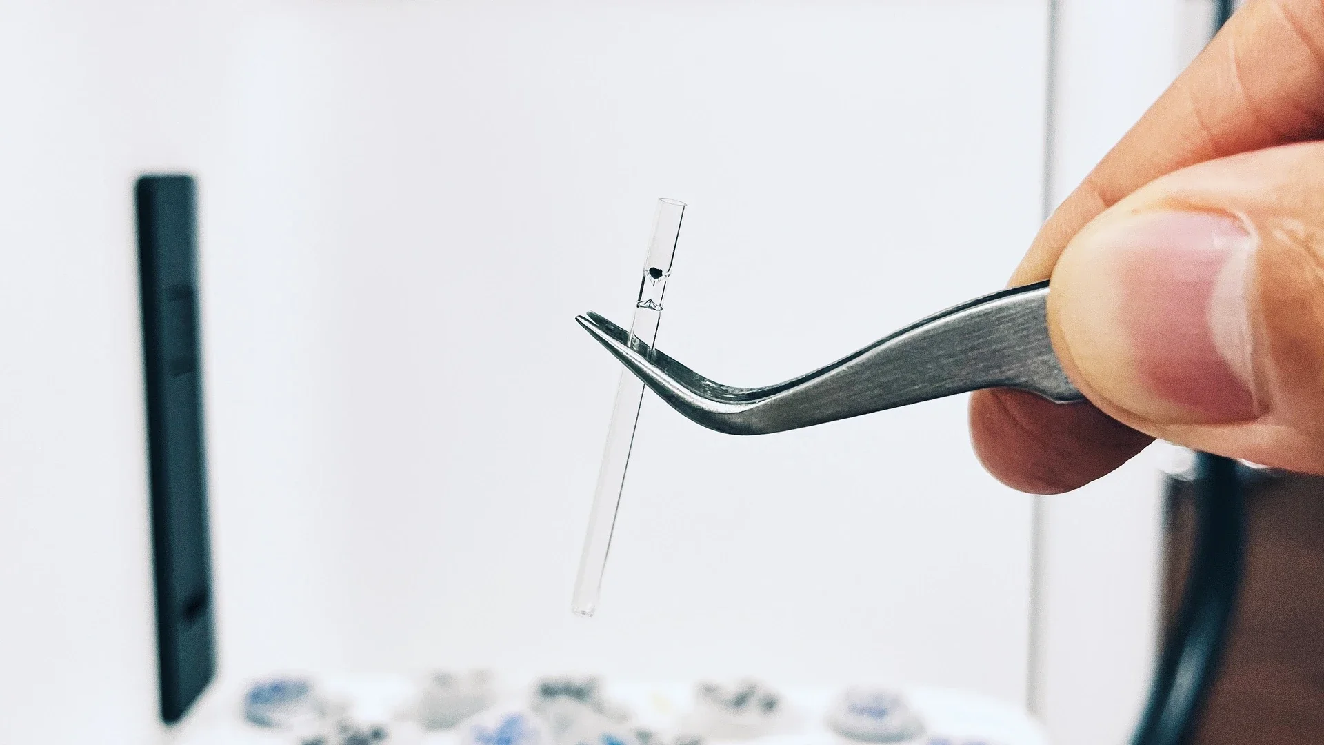 3.51-billion-year-old shale from Singhbhum Craton, India.