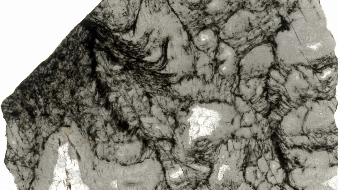 The black features within this thin slice of rock are 2.5-billion-year-old microbial structures. This study suggests that the organic matter preserved within this complex microbial community may have been produced by photosynthetic microorganisms.