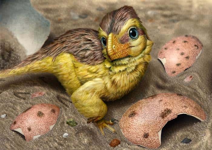 An international team has shown that fossil dinosaur eggshell can be dated with uranium lead methods, delivering precise ages for rock layers that lack volcanic ash and opening a new window on when dinosaurs and their ecosystems really lived.