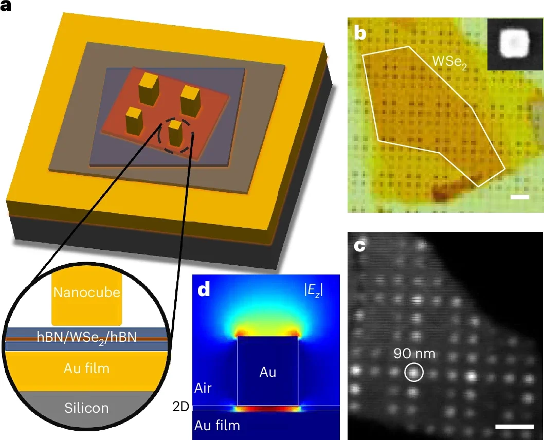 Schematic of the plasmonic nanocavity. The hBN-encapsulated WSe2 monolayer is embedded between a nanocube and a flat Au layer.