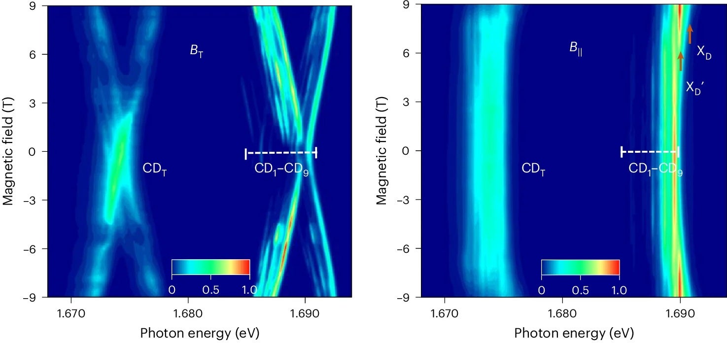 False-color maps of the PL spectra as a function of BT (left) and the PL response as a function of the in-plane magnetic field (right).