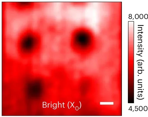 Spatial PL mapping of bright excitons X0 and dark excitons. The intensity of the bright exciton is slightly reduced but that of dark excitons is dramatically enhanced via coupling to the plasmonic cavity.