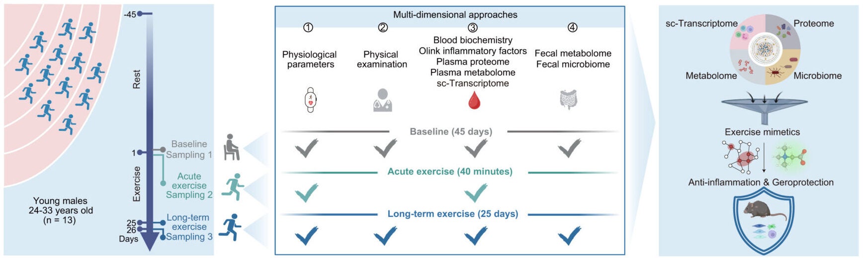 Systematic analysis of acute vs. long-term exercise effects