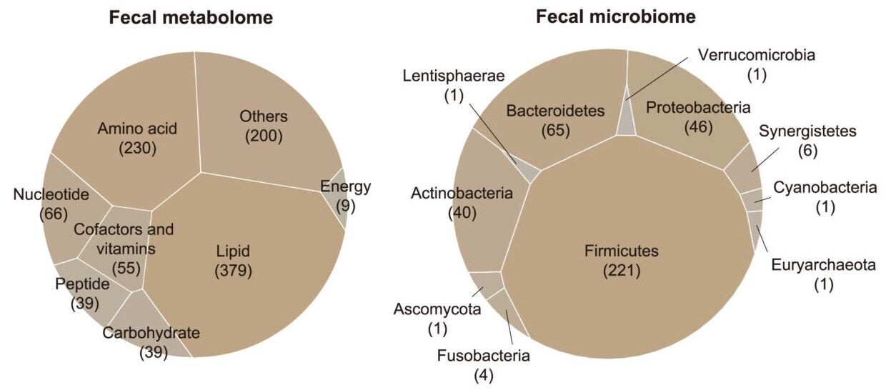 Multiomics tools allowed the team to track changes in gene expression, protein levels, metabolic activity, and even gut microbes.