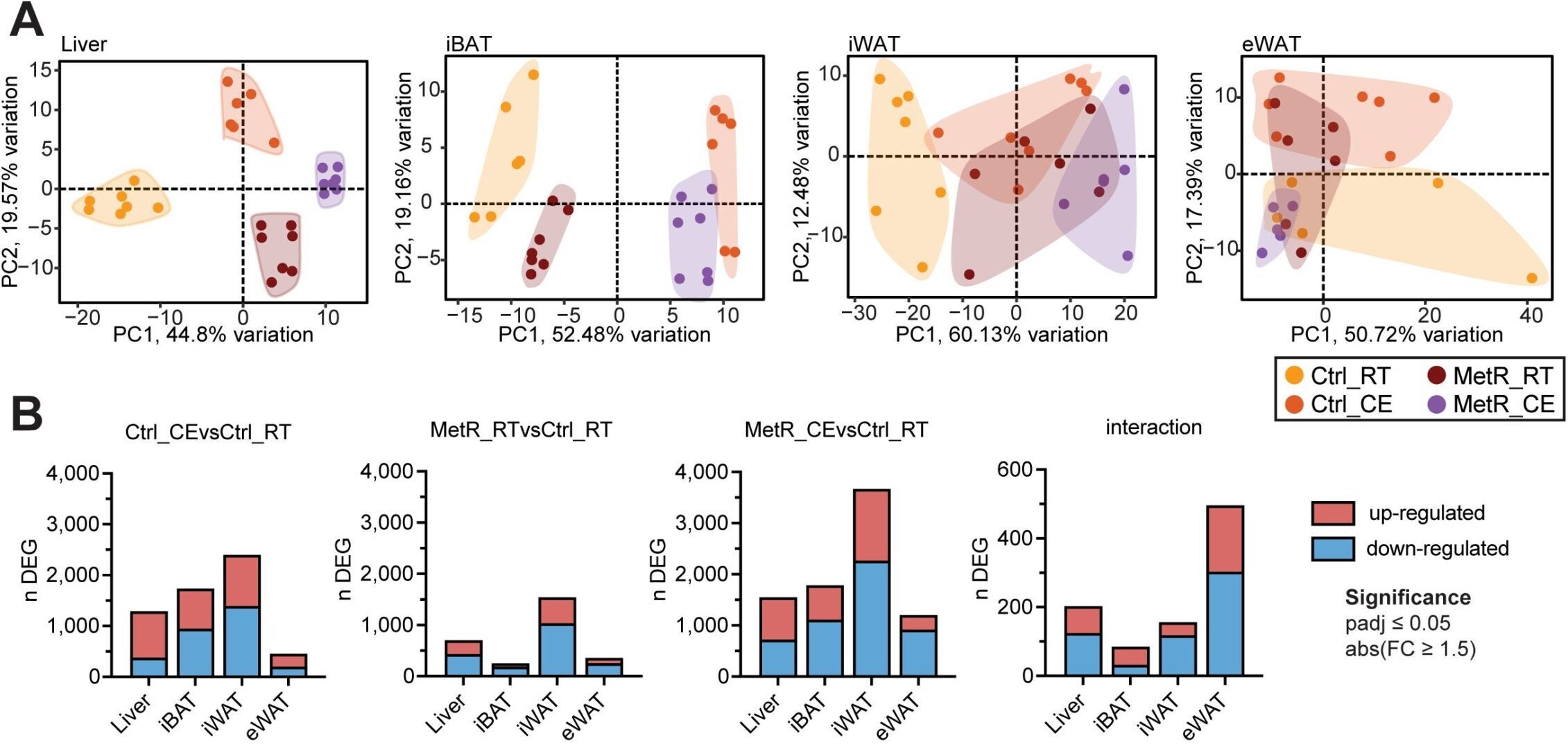 The transcriptional responses to Cold exposure (CE) and MetR-induced thermogenesis are tissue-specific.