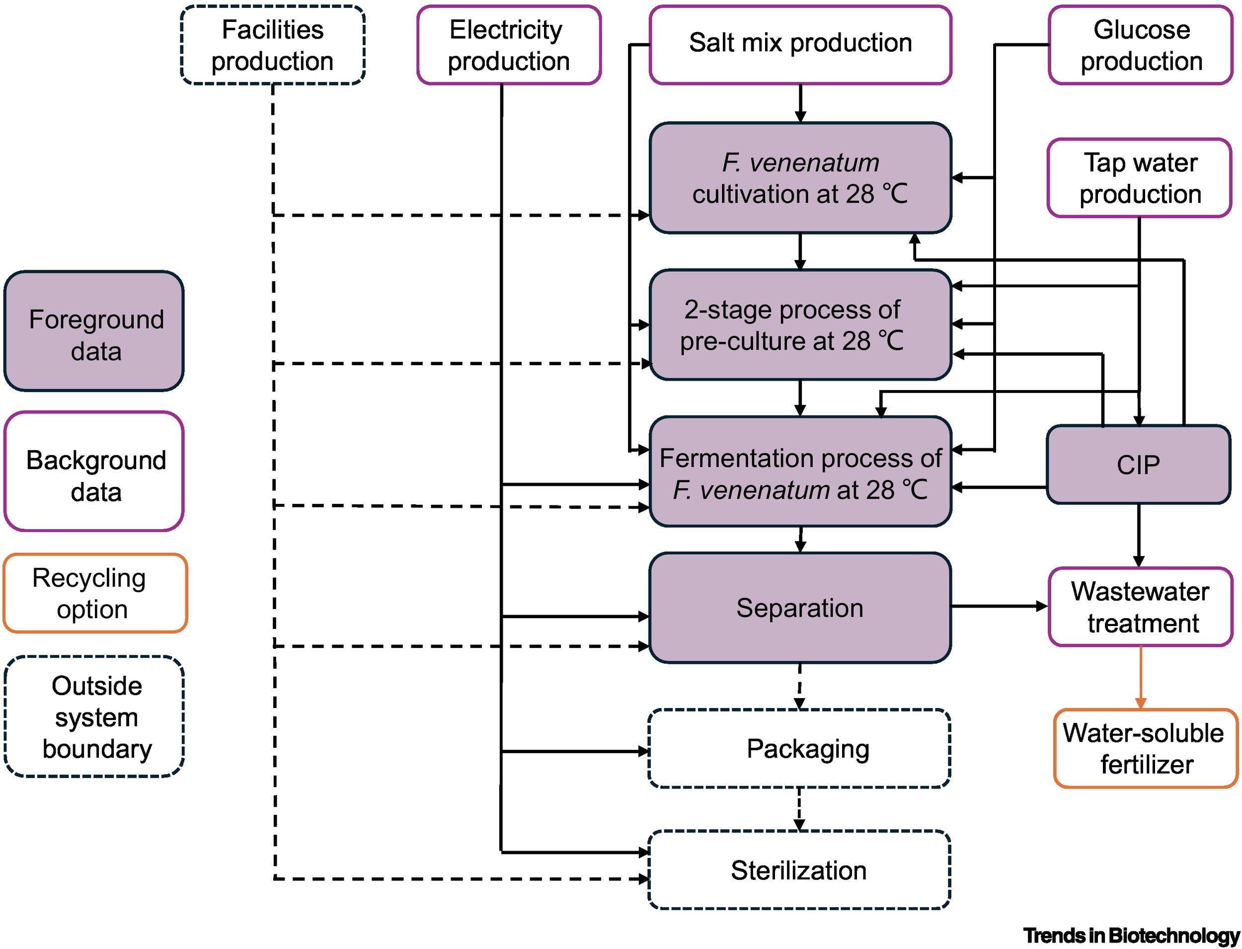 Flow chart of the processes involved in the production of mycoprotein (MP).