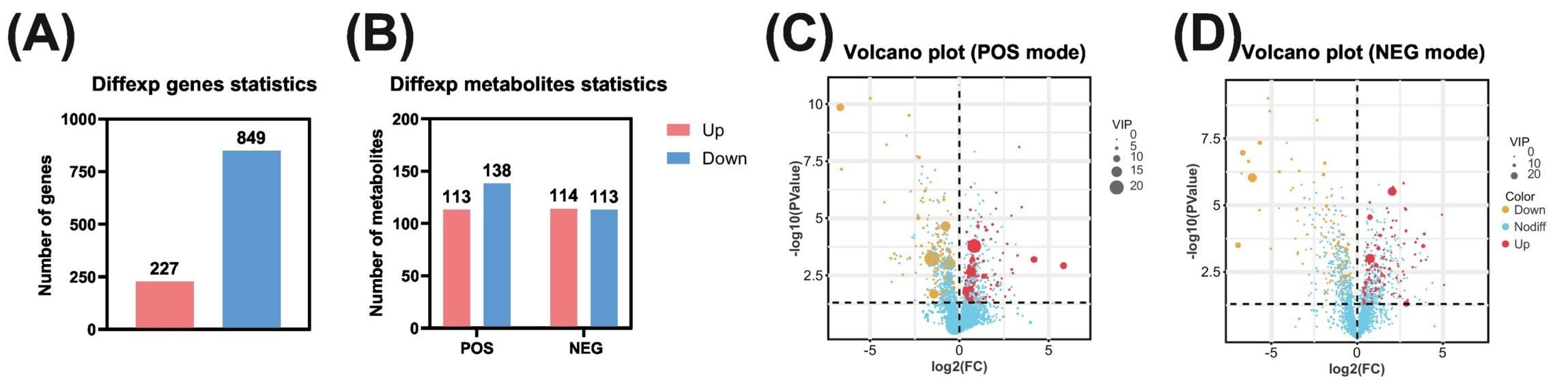 (A) Number of differentially expressed genes (DEGs) in the transcriptome analysis, UP for genes with upregulated expression and DOWN for genes with downregulated expression. (B) Number of differentially expressed metabolites (DEMs) in the metabolome analysis. (C,D) Volcano plots of differential metabolites detected under positive ion mode (POS) and negative ion mode (NEG) mode, respectively.