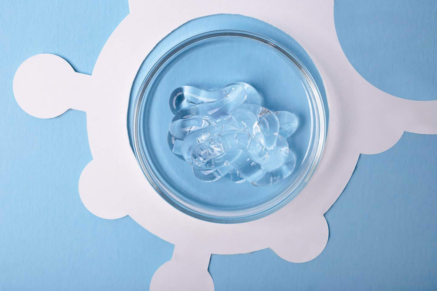 As antibiotic resistance rises, a Swansea led team has built a sugar coated nanogel that homes in on Pseudomonas aeruginosa and destroys even shielded biofilms, hinting at a new class of precision antibacterial therapies.