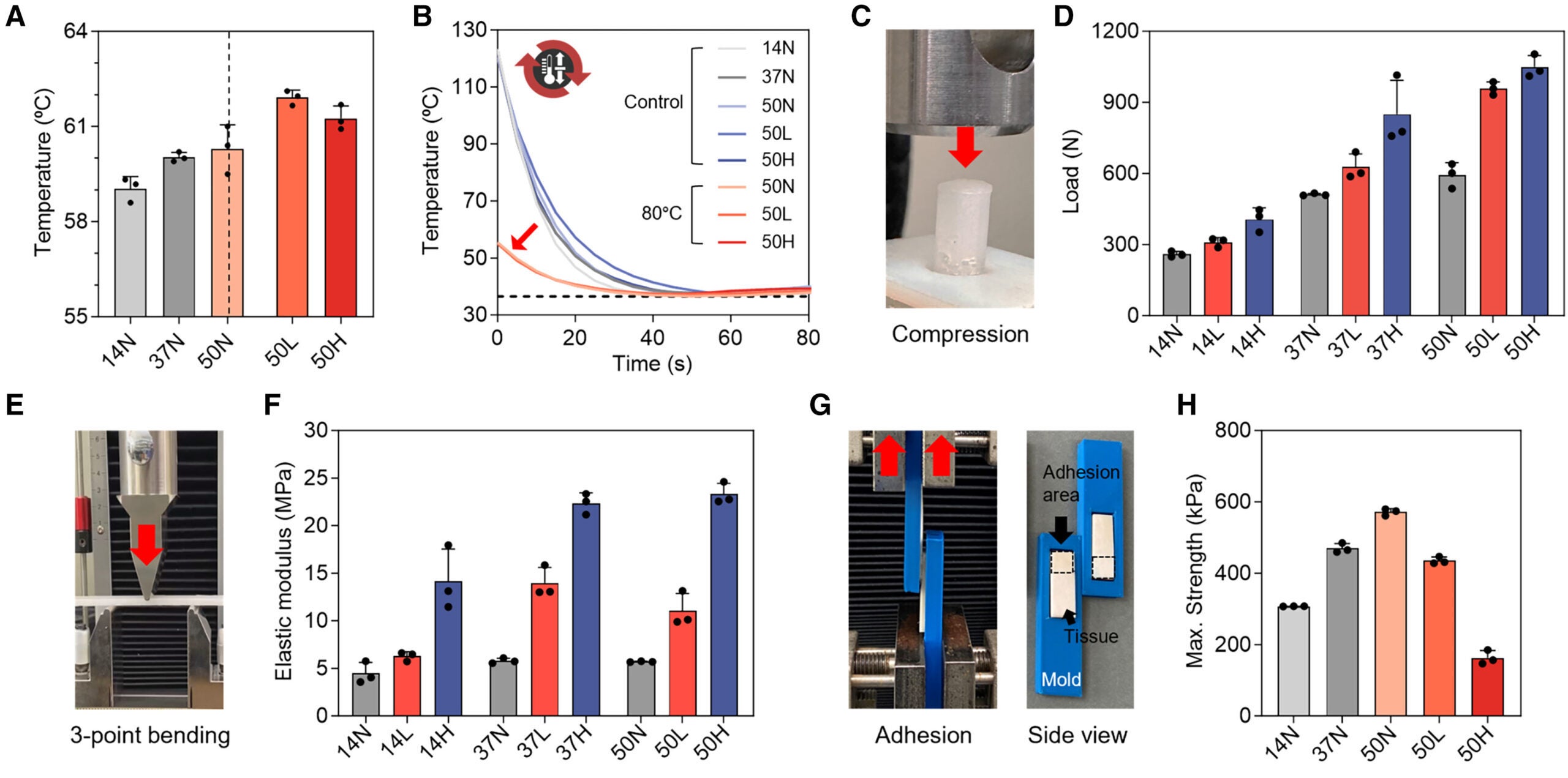 Characterization of the mechanical properties and degradation rate of the PCL/HA composites