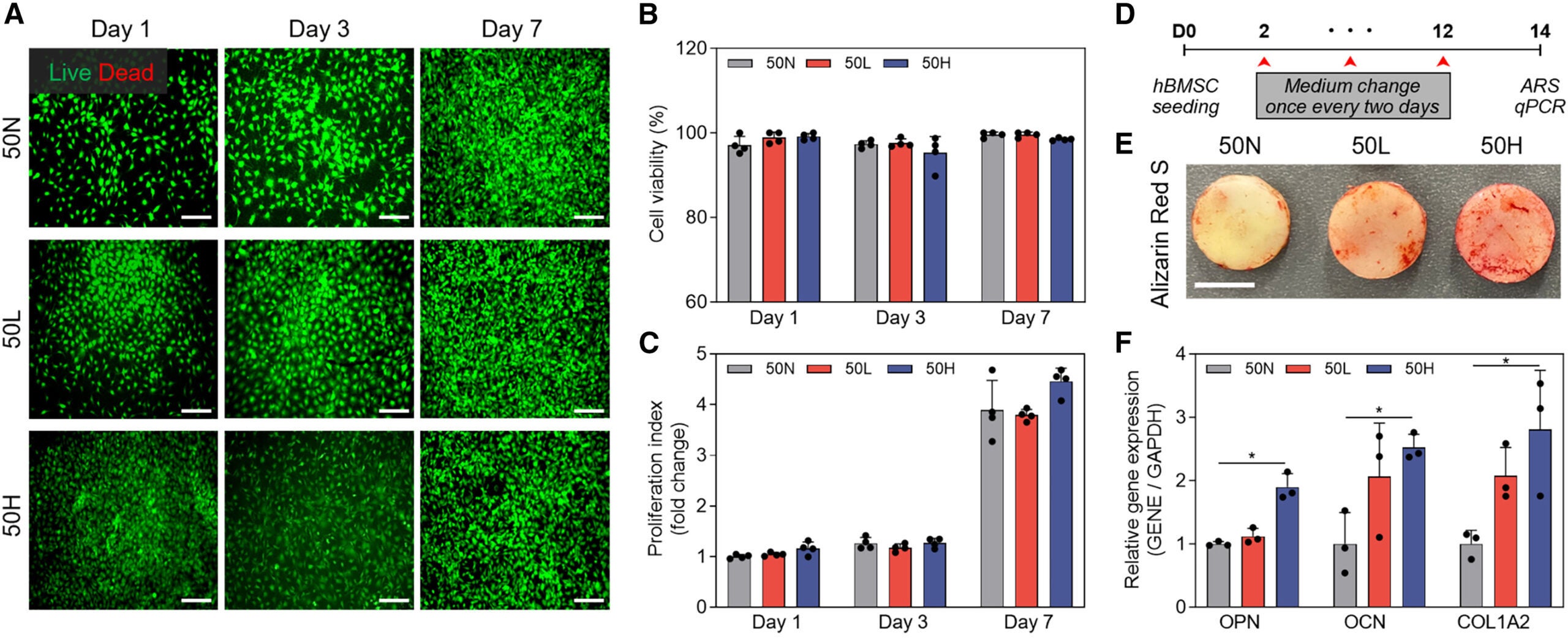 In vitro and in vivo evaluation of the biocompatibility, osteoinductivity, and therapeutic efficacy of the PCL/HA scaffolds