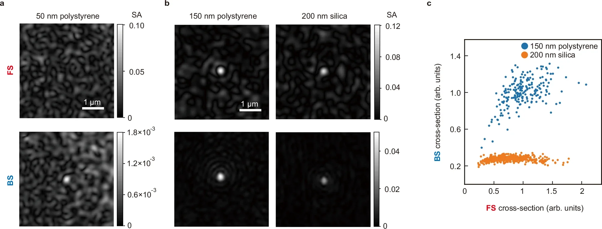 Dynamic range expansion and FS-BS correlation analysis through bidirectional scattering imaging of nanometer-scale beads.