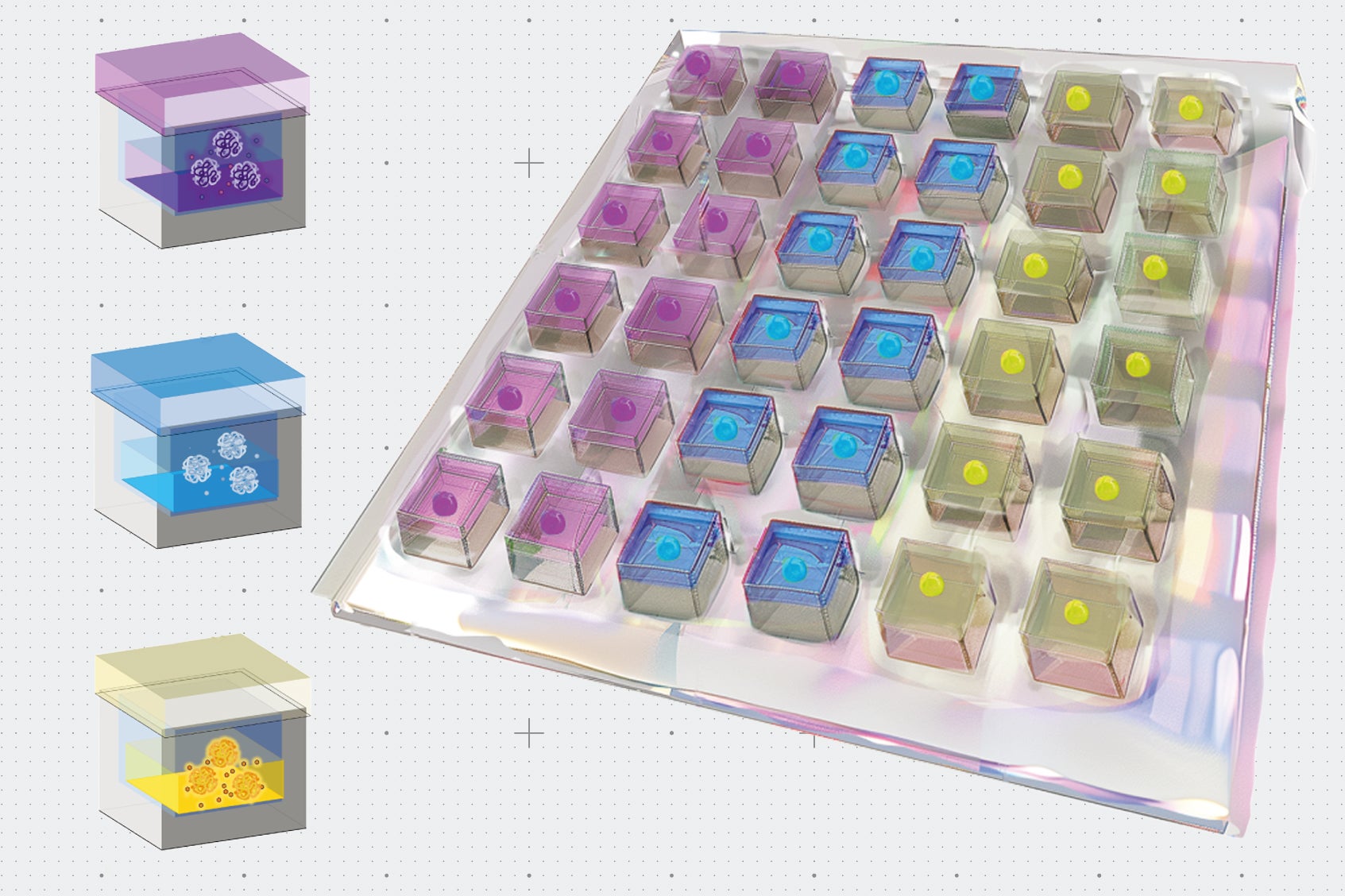 3D configuration of the drug-loaded PLGA MP array, highlighting various compounds encapsulated in spatially patterned MPs composed of different PLGA variants.
