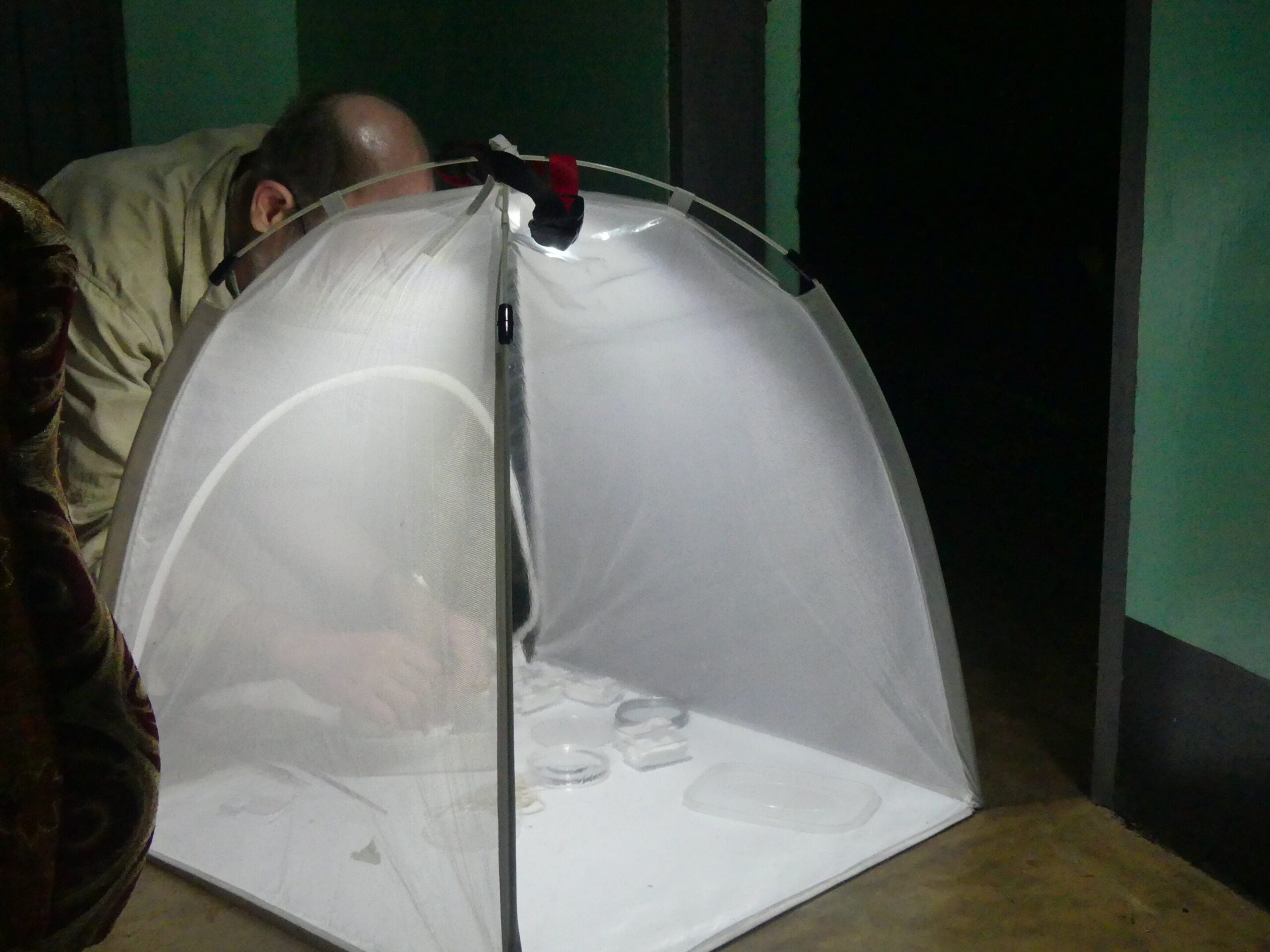 Dr. Alvin Helden of Anglia Ruskin University carrying out fieldwork at Kibale National Park in Uganda.