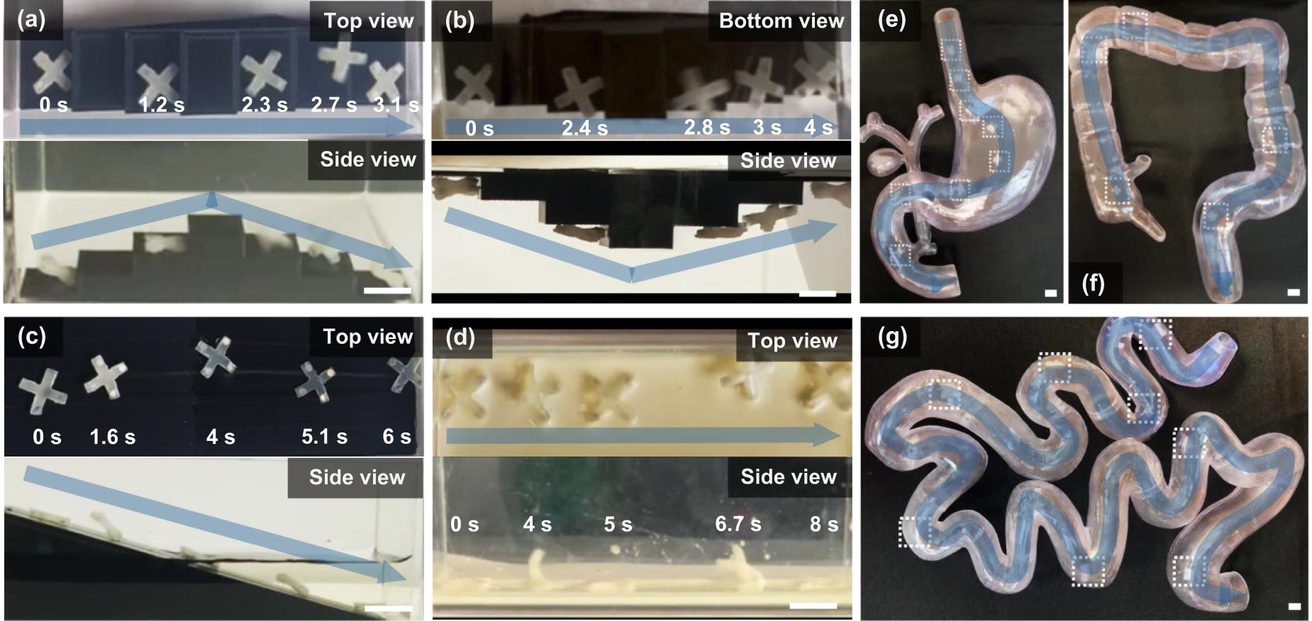 Schematic illustration of the mobility performance in complex terrain of the BMSRs.