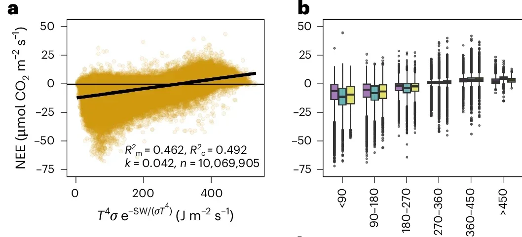 Ecosystem carbon flux dependence on modified Arrhenius constraints and the effect of ALAN.