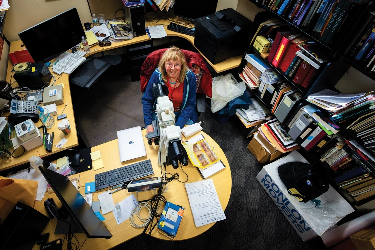 Elaine Bearer sits at her pathology light microscope at the University of New Mexico, studying thin slices of brain tissue.
