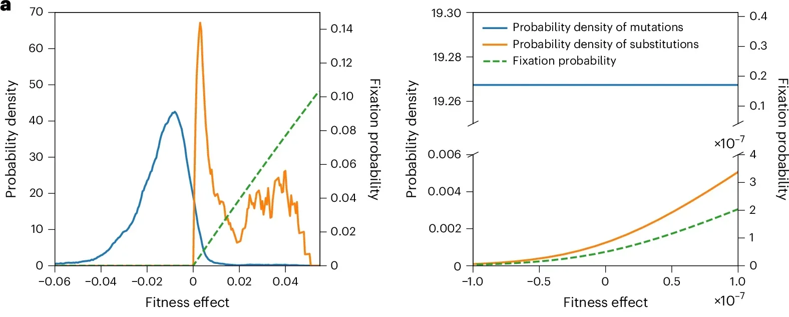 Empirical DFEs of non-synonymous mutations refute the neutral theory for functional genes.