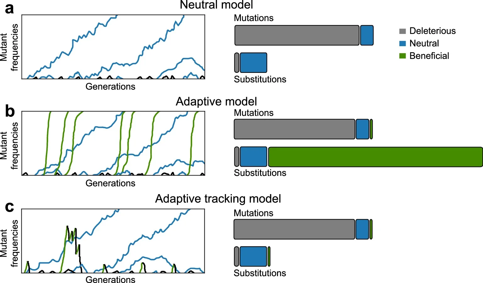 Conceptual illustration of (a) neutral, (b) adaptive, and (c) adaptive tracking models of molecular evolution in sexual populations.