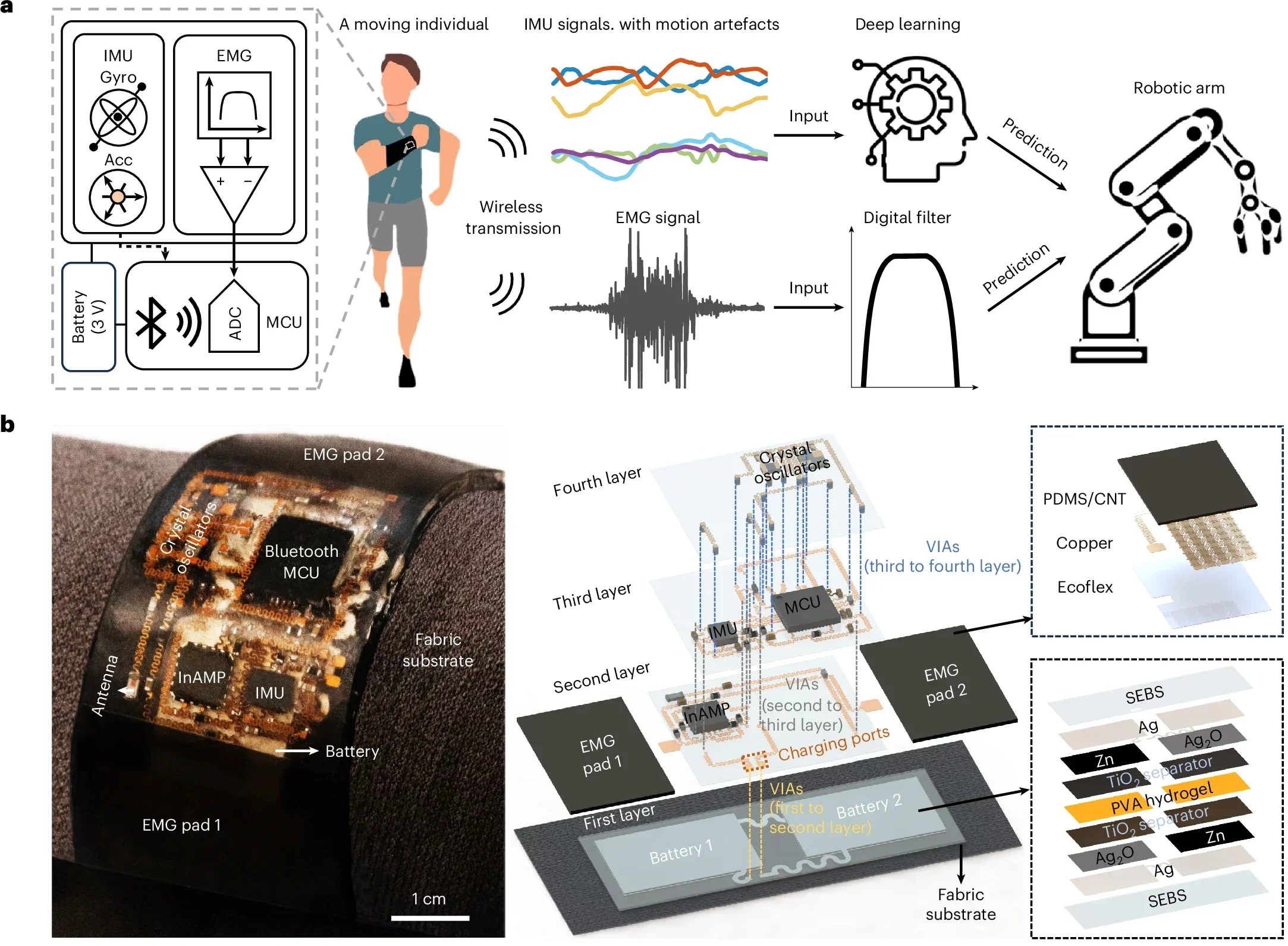 Overview of the noise-tolerant human–machine interface.