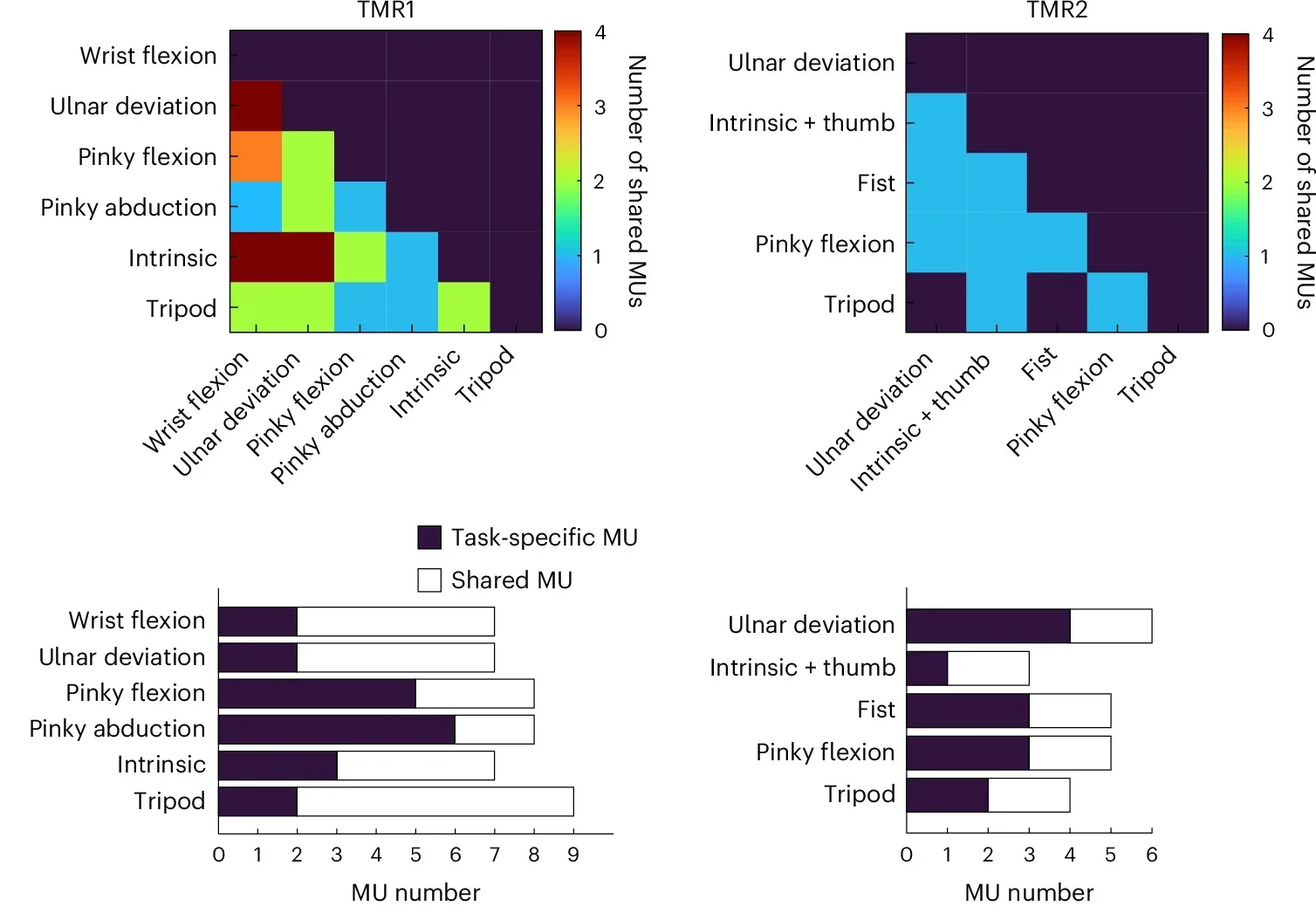 Tracking of MUs across EMG signals recorded for different tasks of the missing limb revealed task-specific and shared MUs.
