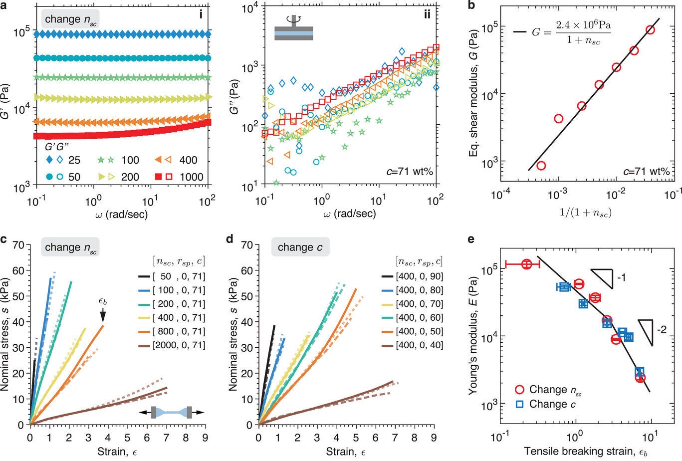 Bottlebrush PEG hydrogels.
