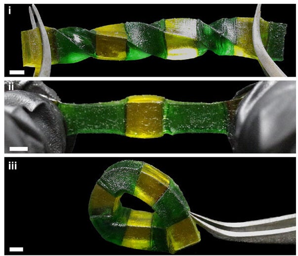 Multi-material DLP printing of two different resins, cBB PEG ([400, 0, 100], E ≈ 17 kPa, green) and fBB PEG ([400, 5, 100], E ≈ 200 kPa, yellow), into a linear structure with alternating stiffnesses that can be twisted, bent, and stretched without interface failure.