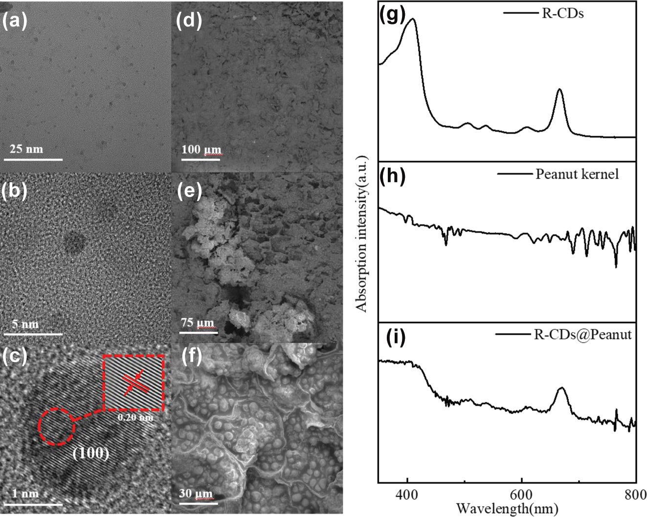 Structure and UV–Vis absorption characterization of R-CDs and R-CDs@Peanut.