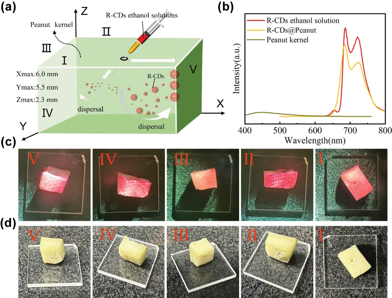 Fabrication process and photoluminescence of R-CDs@Peanut. 
